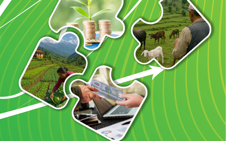Micro finance